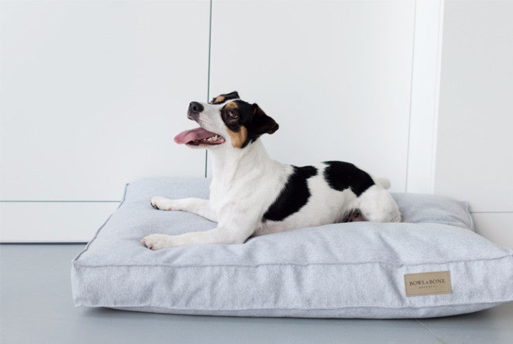 Bowl &amp; Bone Republic Loft Cushion Graphite, Dog Bed | Barks &amp; Bunnies