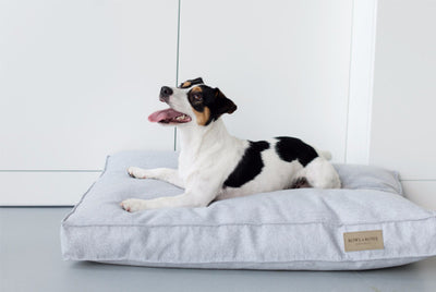 Bowl & Bone Republic Loft Cushion Graphite, Dog Bed | Barks & Bunnies
