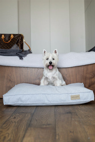 Bowl &amp; Bone Republic Loft Cushion Graphite, Dog Bed | Barks &amp; Bunnies