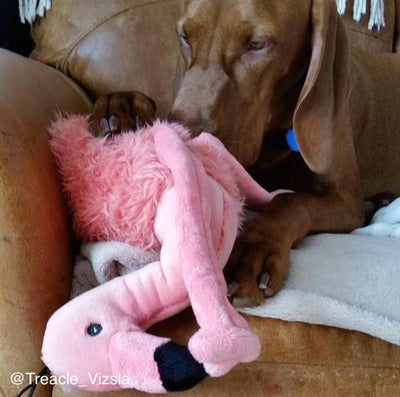 Lola Flamingo Fluff & Tuff Dog Toys, Luxury Dog Toy | Barks & Bunnies