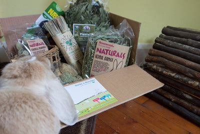 The Best Pet Rabbit Subscription Box for Multiple Rabbits | Barks & Bunnies