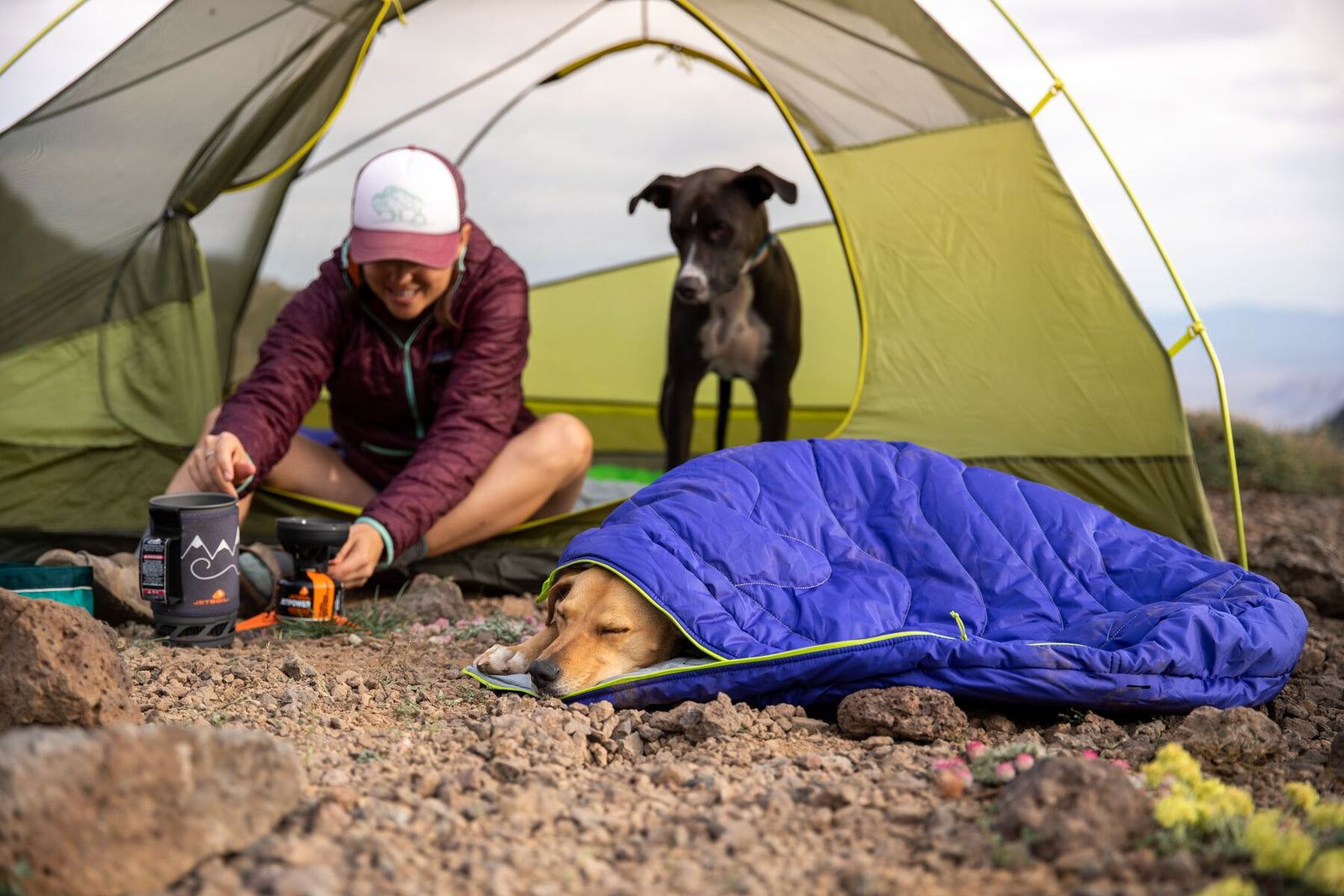 Dog asleep in the Ruffwear Highlands Dog Sleeping Bag at camp on Steens Mountain, with a second dog and owner in the tent behind
