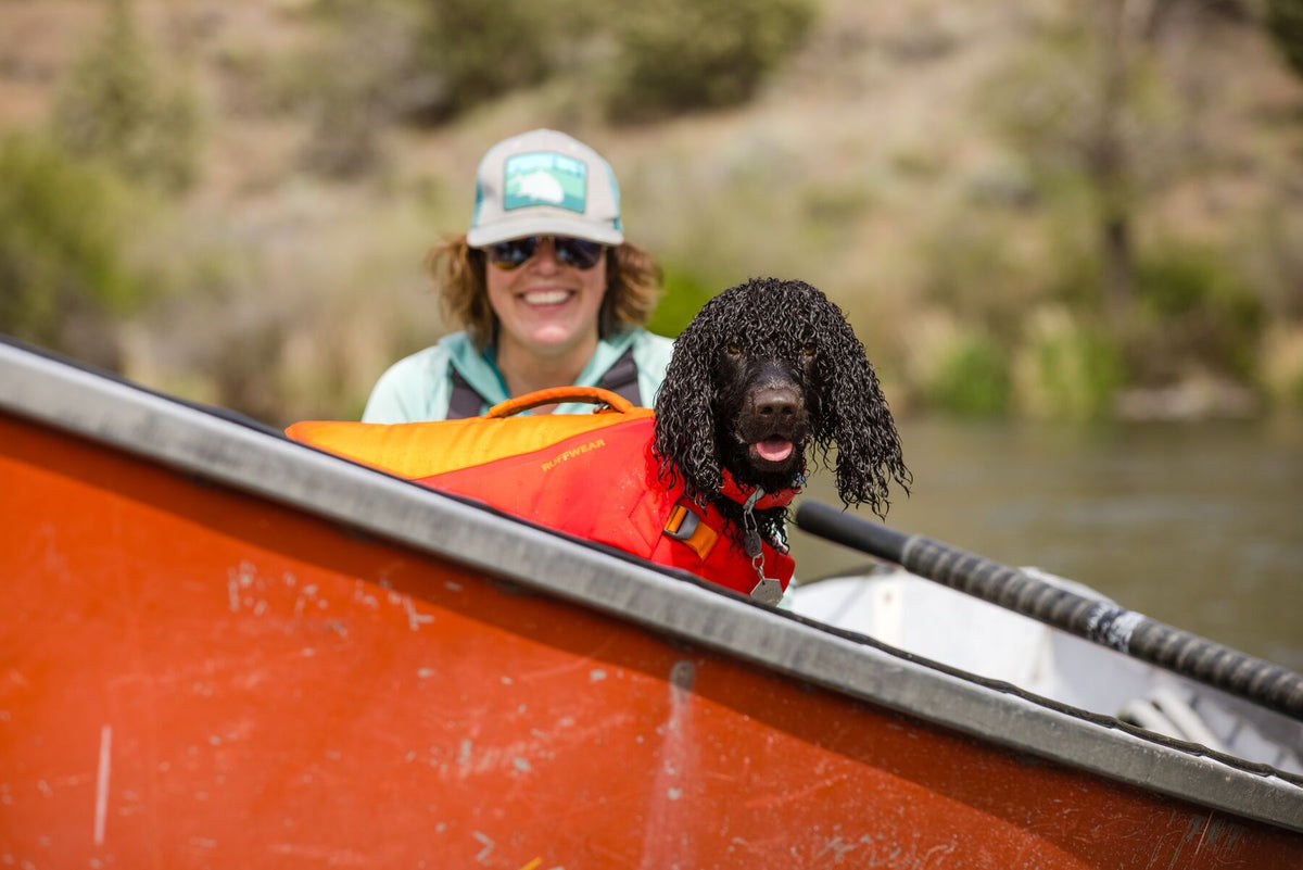 Dog wearing Ruffwear Confluence Collar on a kayaking adventure