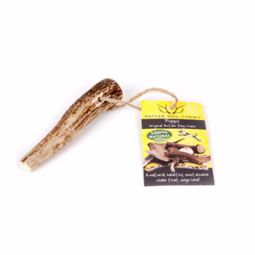 Antler Dog Puppy Chew