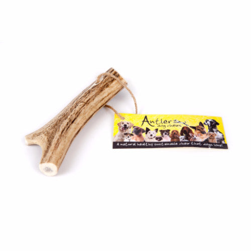 Deer Antler Dog Original Chew for dogs | Barks & Bunnies