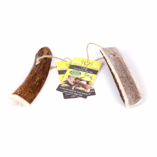 Green & Wilds Easy Antler Dog Chews, Naturally Shed | Barks & Bunnies