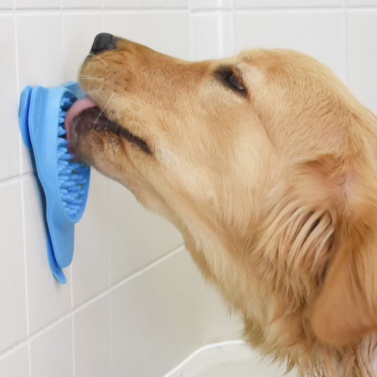 Aqua Paw Slow Treater for your Dog's Bathtime | Barks &amp; Bunnies