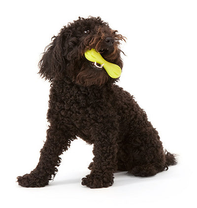 Zogoflex Hurley UK, Zogoflex Dog Toys UK Stockist | Barks & Bunnies