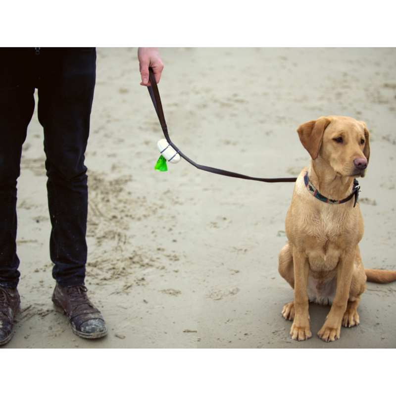 Beco Pocket Dispenser Eco-Friendly Dog Poop Bag Barks Bunnies