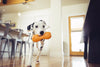 Zogoflex Qwizl, Interactive Extra tough Dog Toy UK | Barks & Bunnies