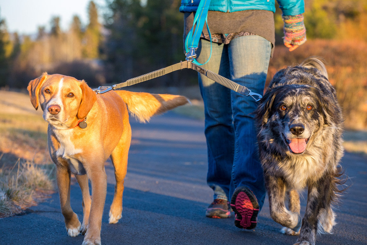 Ruffwear Double Track Couple, lead attachment to walk two dogs | Barks &amp; Bunnies