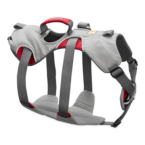 Ruffwear Doubleback full body dog harness in Cloudburst Gray, rear view showing padded belly support and leg loops