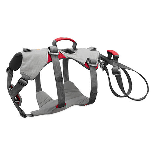 Ruffwear Doubleback full body dog harness in Cloudburst Gray, rear view showing padded belly support and leg loops