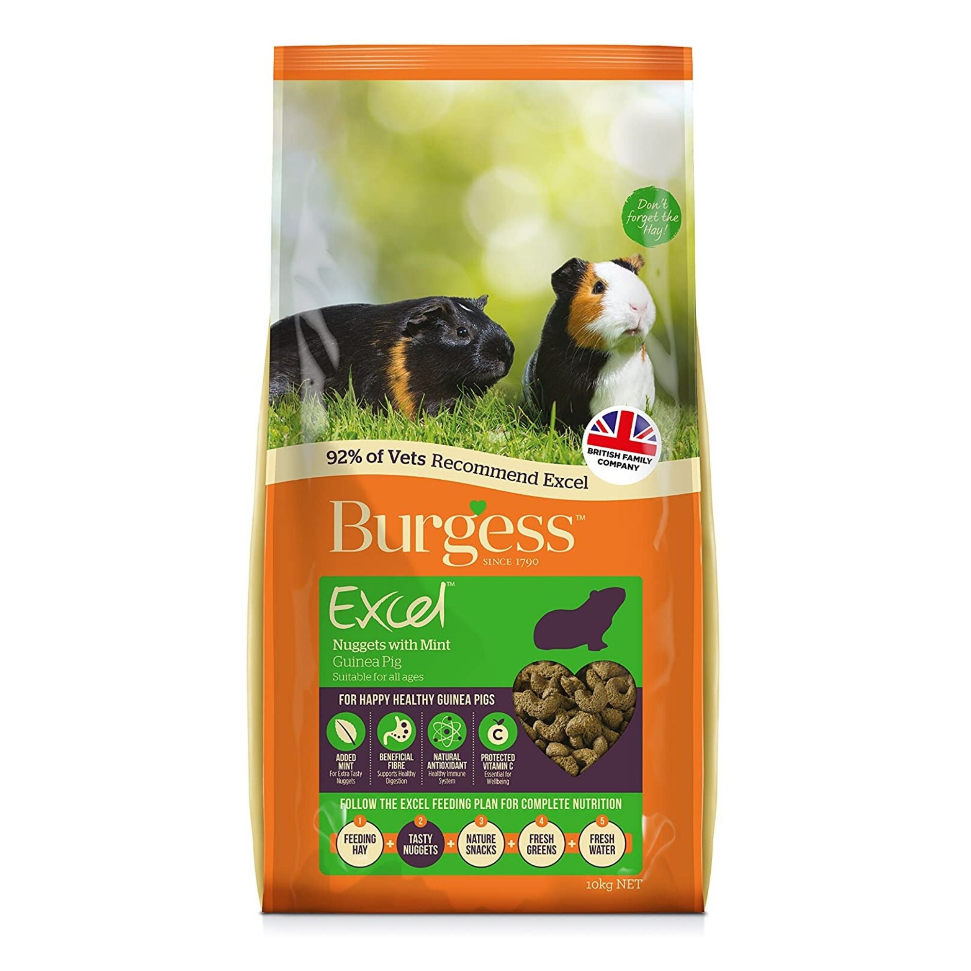 Burgess Excel Guinea Pig Food with Mint Nuggets | Barks & Bunnies