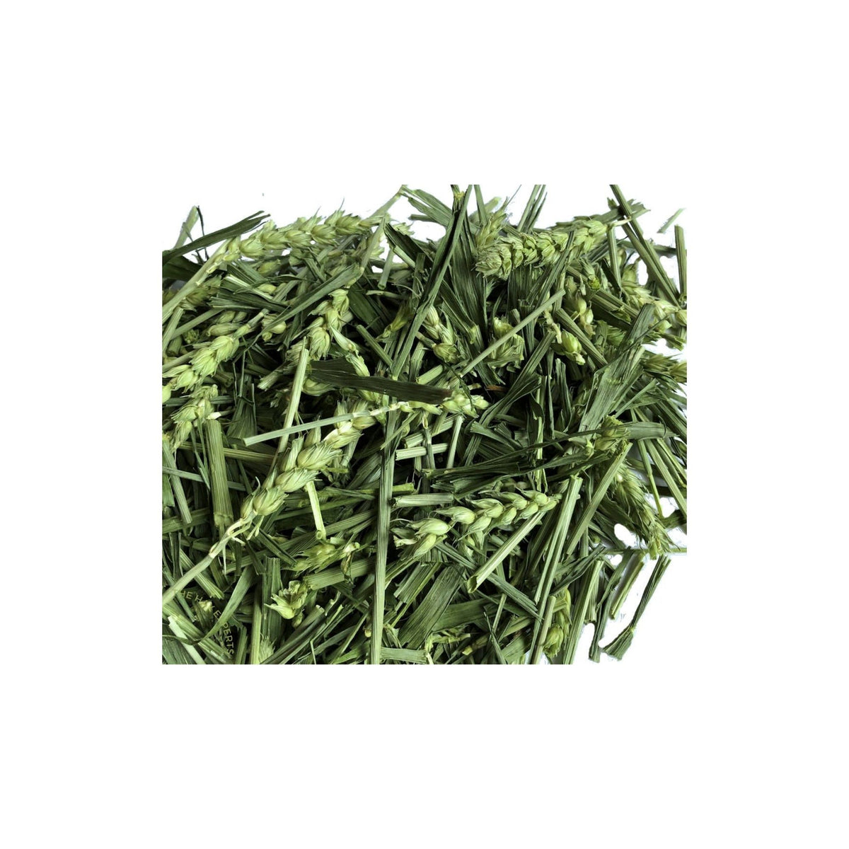 Green Wheat Forage Hay
