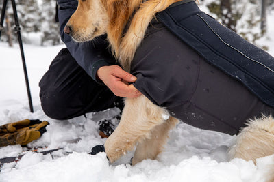 Ruffwear Cloud Chaser Waterproof Winter Dog Coat | Barks & Bunnies