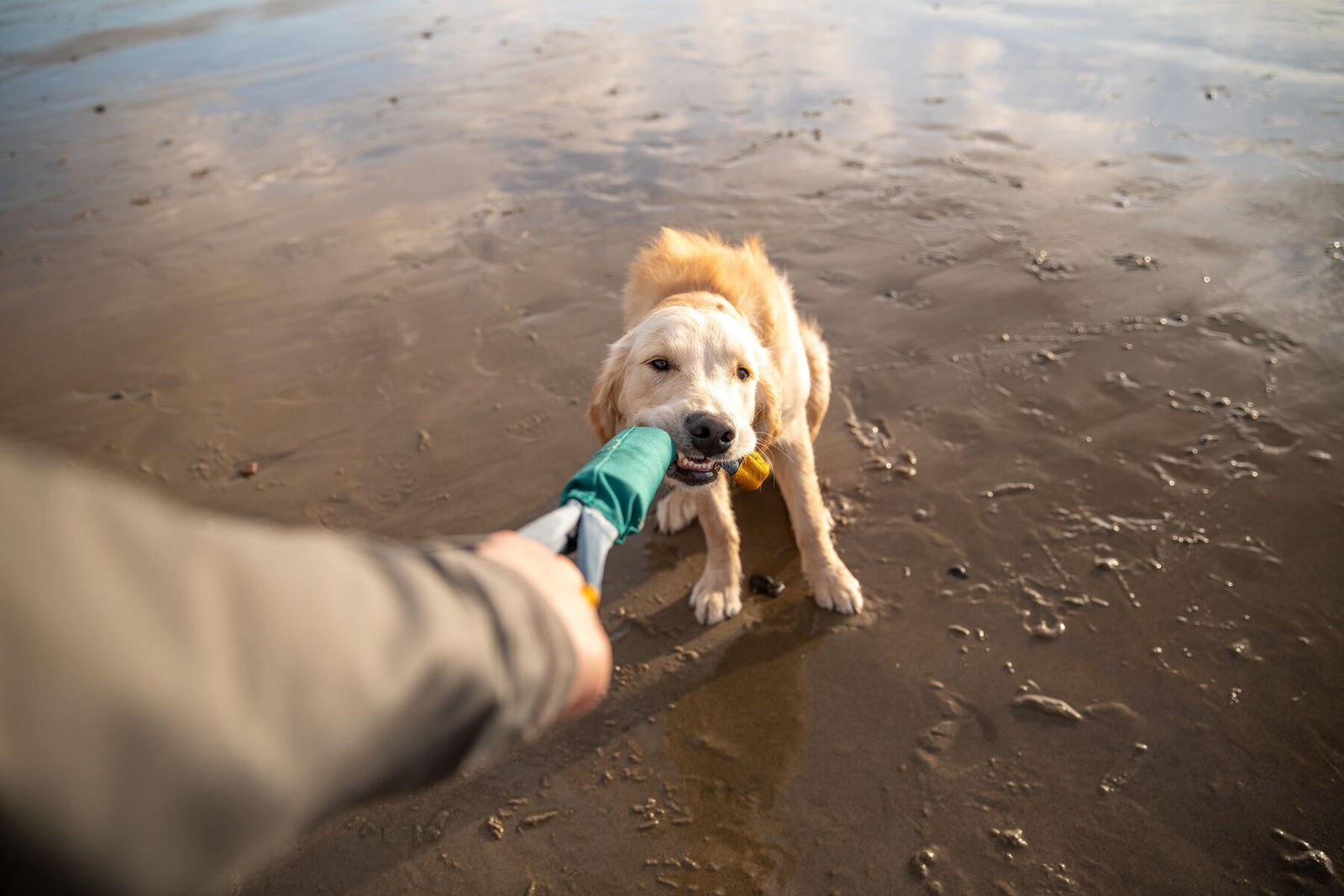 Ruffwear Pacific Loop Tug Toy & Floating Dog Toy | Barks & Bunnies