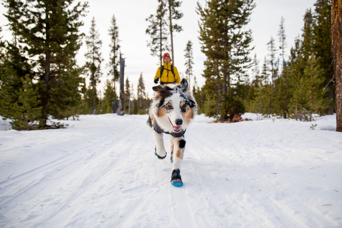 Ruffwear Polar Trex Dog Boots, Paw Protection Boots | Barks &amp; Bunnies