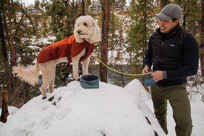 Ruffwear Vert, Insulated Warm Winter Dog Coat | Barks & Bunnies