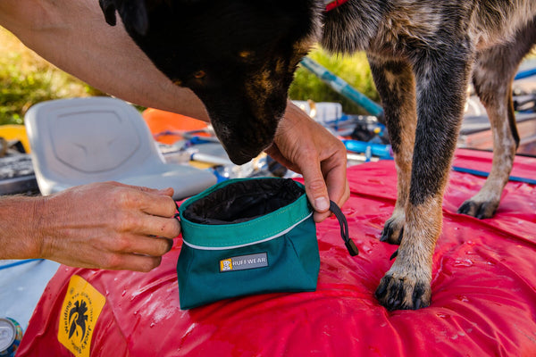 Ruffwear Quencher Cinch Top Portable Dog Bowl Barks Bunnies