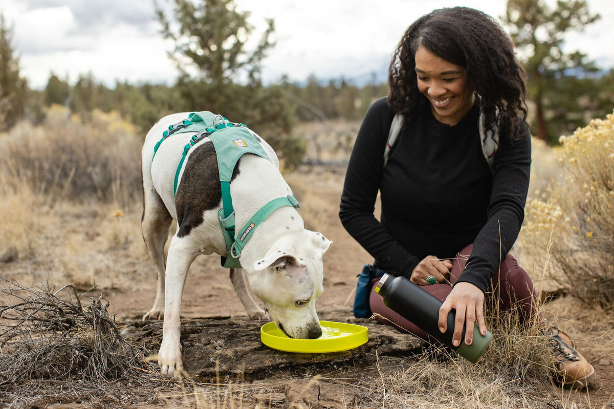 Ruffwear Camp Flyer Frisbee Floating Dog Toy | Barks &amp; Bunnies
