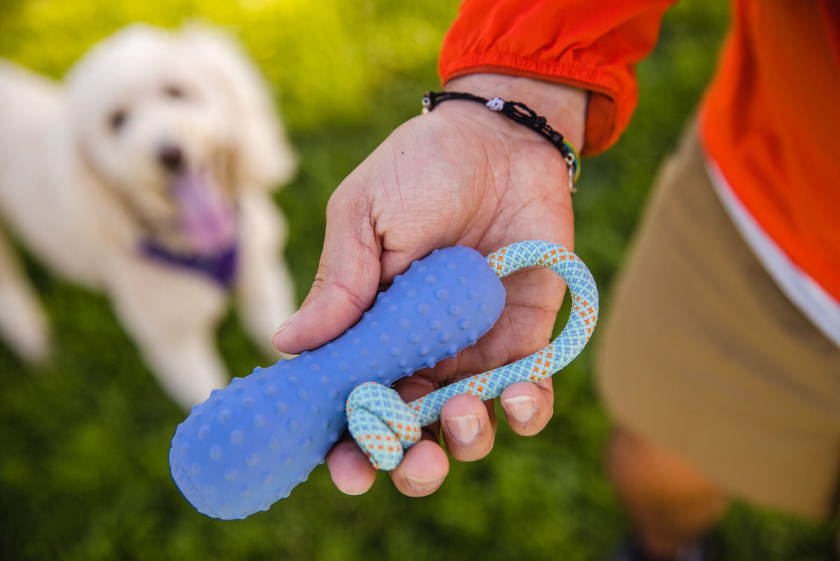 Ruffwear Gourdo, Fetch Dog Toy | Barks &amp; Bunnies