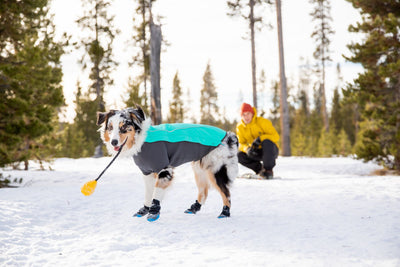 Ruffwear Cloud Chaser Waterproof Winter Dog Coat | Barks & Bunnies