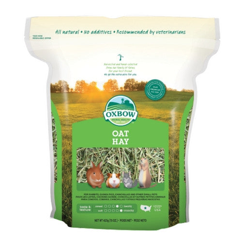 Oxbow Oat Hay for Rabbits & Small Animals | Barks & Bunnies