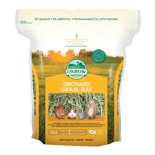 Oxbow Orchard Grass for Rabbits & Small Animals | Barks & Bunnies