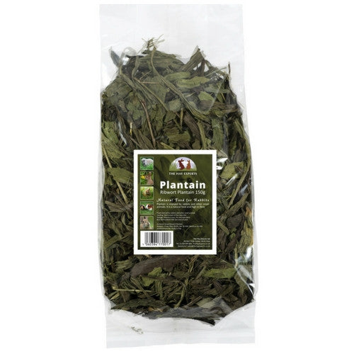 Plantain for rabbits clearance
