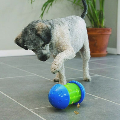 Kong Spin It! Interactive Dog Toy | Barks & Bunnies