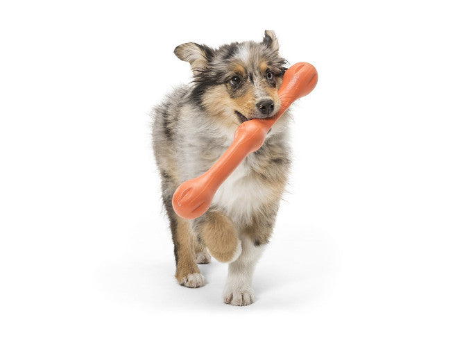 Zogoflex Echo Zwig by West Paw Design, Tough Dog Toy | Barks &amp; Bunnie