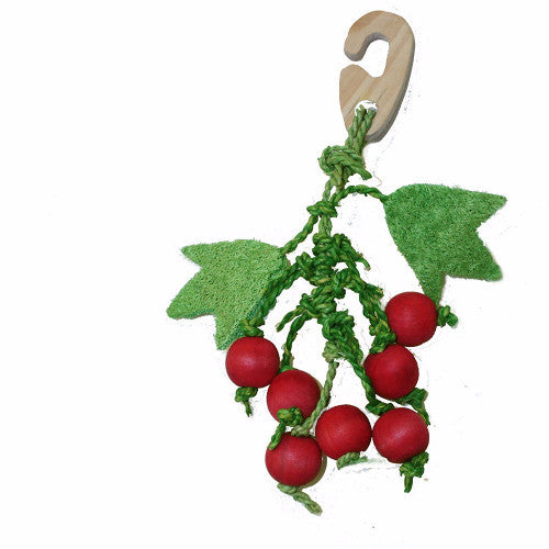 Critters Choice Berry Nibbler Rabbit & Small Animal Toy | Barks & Bu..