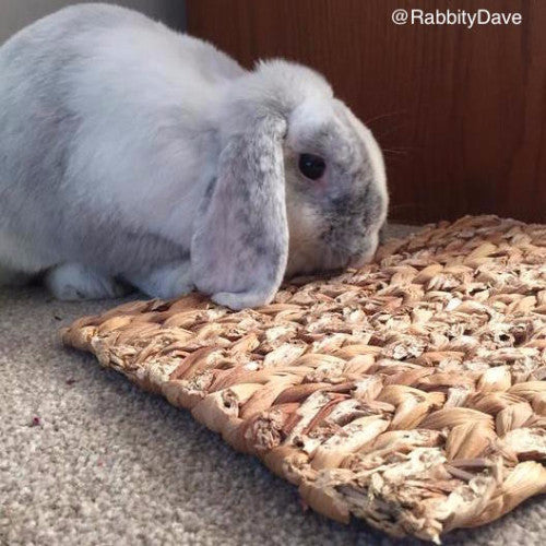 Rosewood Chill 'n' Chew mat for rabbits and small animals | Barks & Bunnies