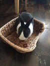 Rosewood Chill 'n' Snooze Bed for Rabbits & Small Animals | Barks....
