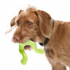 Zogoflex Tizzi, Zogoflex Dog Toys UK Stockist | Barks & Bunnies