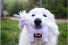 Fluff & Tuff Violet Unicorn, Durable Plush Dog Toys | Barks & Bunnies