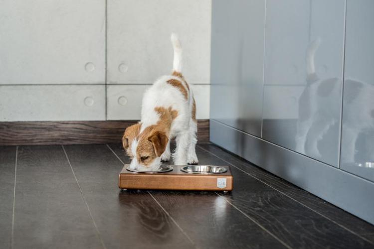 Bowl & Bone Republic DUO Chestnut, Handmade Dog Bowl | Barks & Bunnies