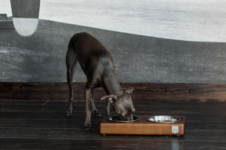 Bowl &amp; Bone Republic DUO Amber, Handmade Dog Bowl | Barks &amp; Bunnies