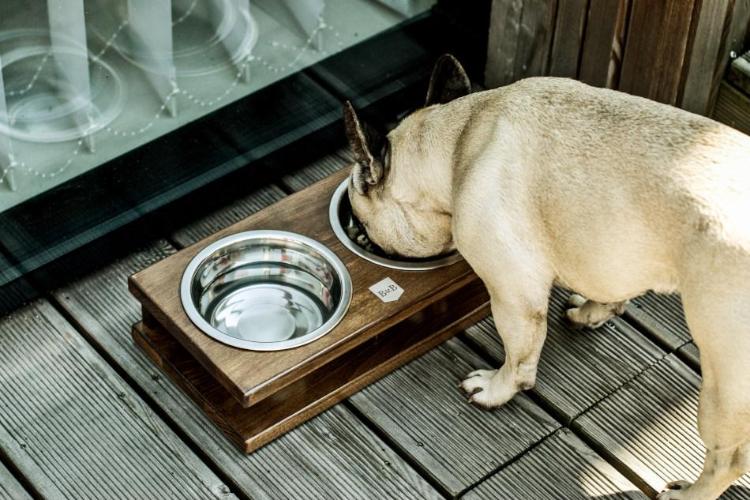 Bowl & Bone Republic GRANDE Amber, Handmade Dog Bowl | Barks & Bunnies