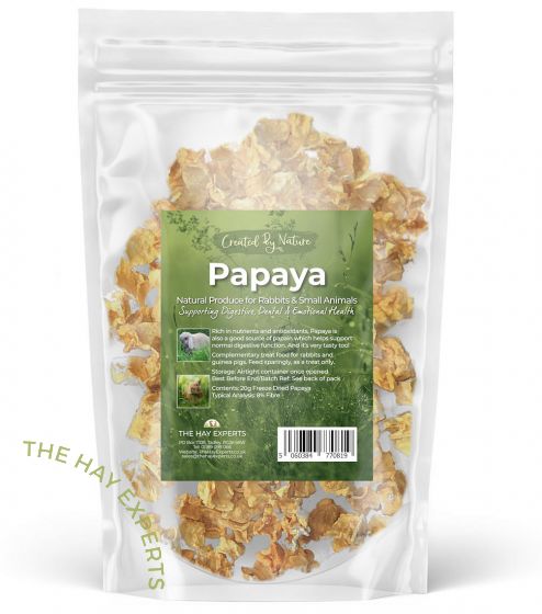 Freeze Dried Papaya