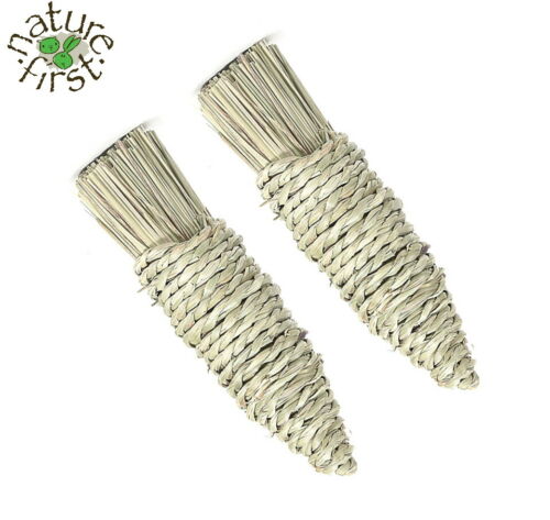 Mega Grassy Carrot (2pc)