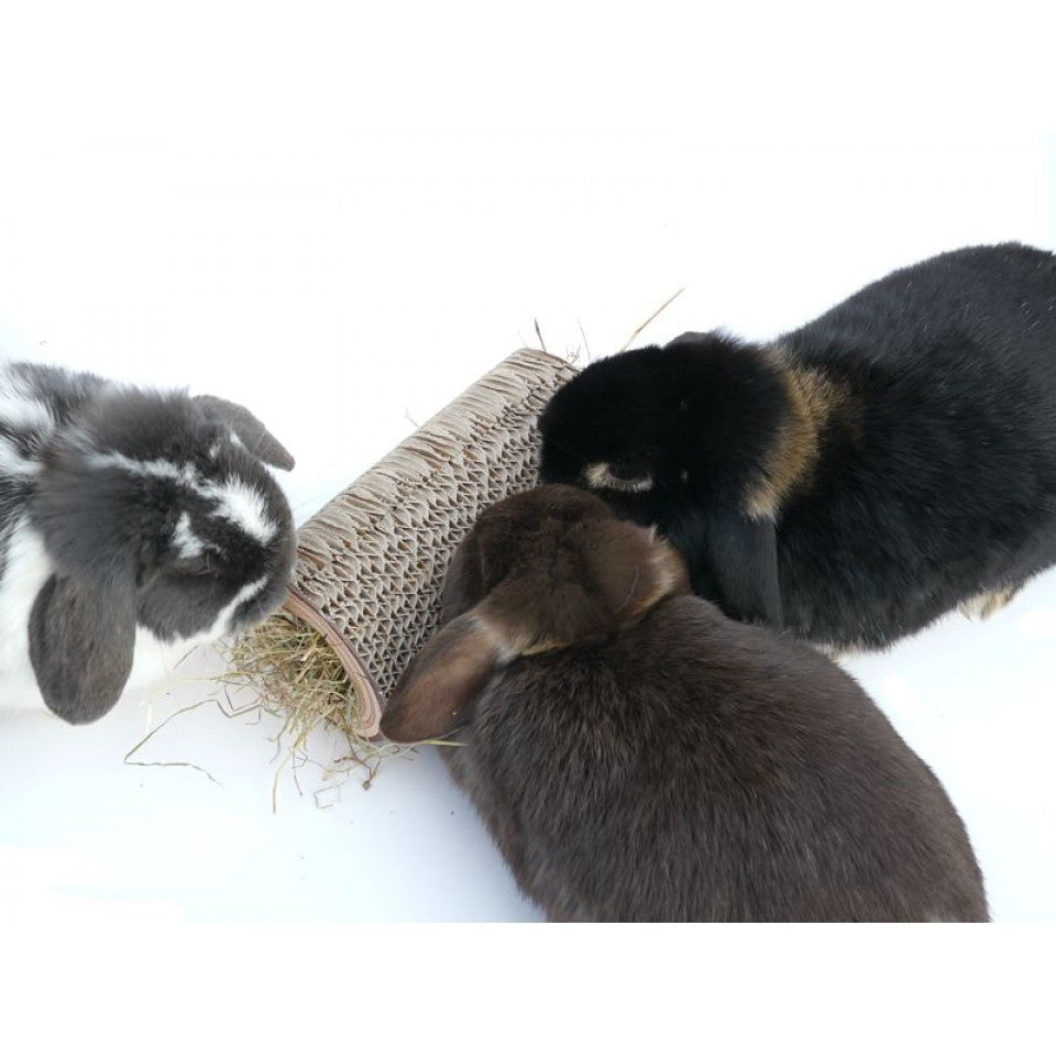 Rosewood Boredom Breaker Shred-a-log | Barks & Bunnies
