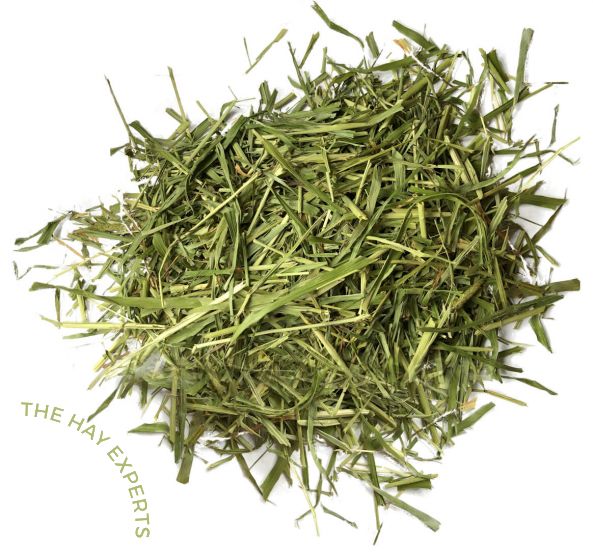 SPECIAL CUT TIMOTHY HAY: 1ST CUT - MIXED STEM & LEAF