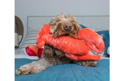 Fluff & Tuff Manny Lobster, Durable Plush Dog Toys | Barks & Bunnies