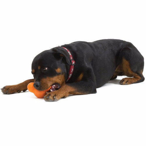 Zogoflex Tux by West Paw Design Indestructible Dog Toy | Barks &amp; Bunnnies