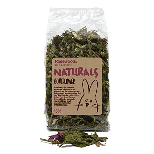 Rosewood Naturals Coneflower, Herbs for Rabbits | Barks & Bunnies