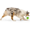 Zogoflex Echo Rando by West Paw Design, Tough Dog Toy | Barks & Bunnies